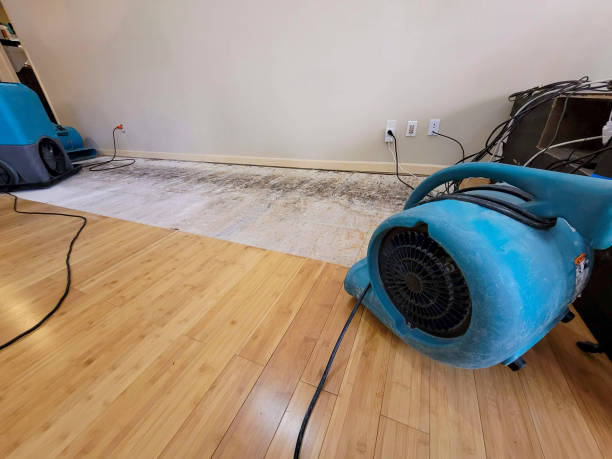 Professional Water Removal technician working in Santa Monica, CA